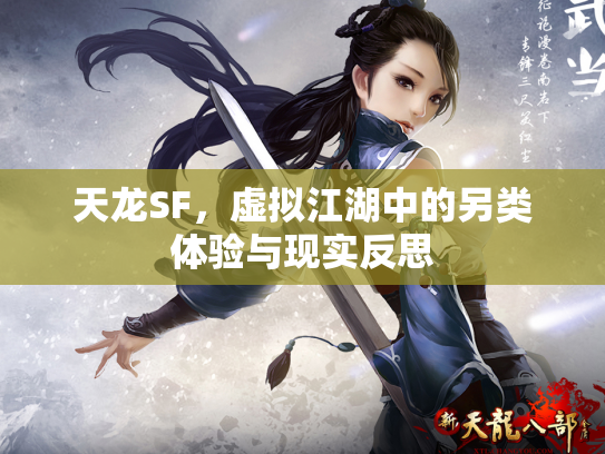 天龙SF，虚拟江湖中的另类体验与现实反思