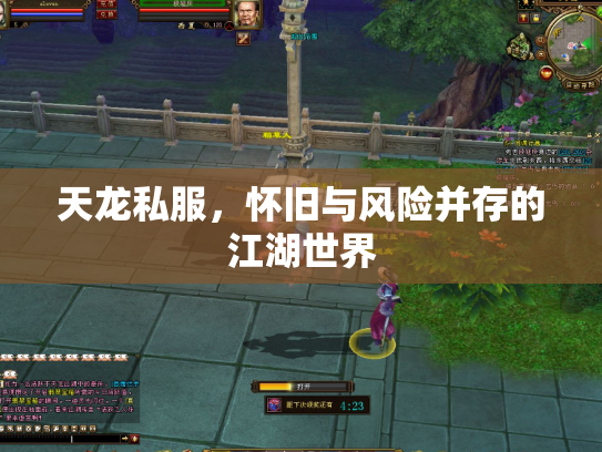 天龙私服，怀旧与风险并存的江湖世界