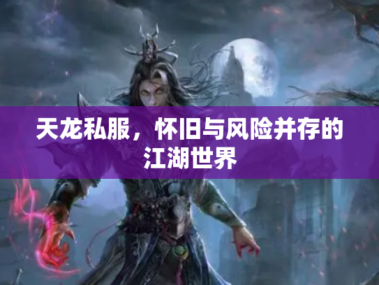 天龙私服，怀旧与风险并存的江湖世界