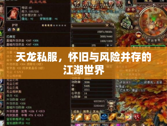 天龙私服，怀旧与风险并存的江湖世界