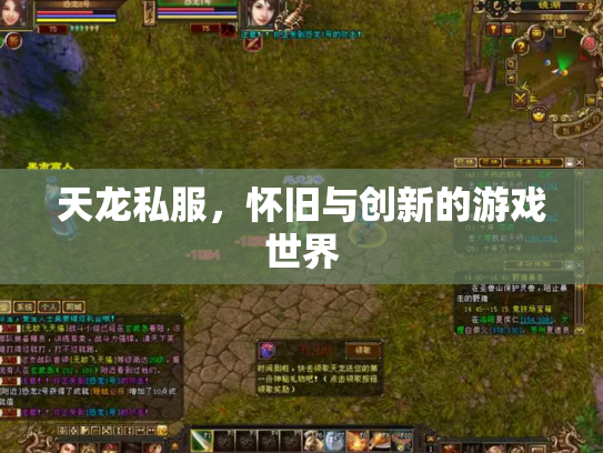 天龙私服，怀旧与创新的游戏世界