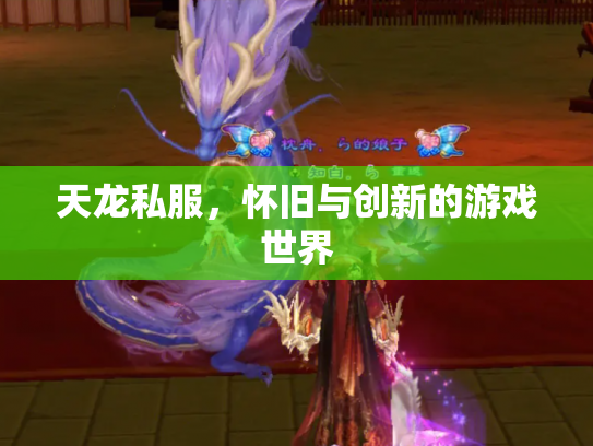天龙私服，怀旧与创新的游戏世界