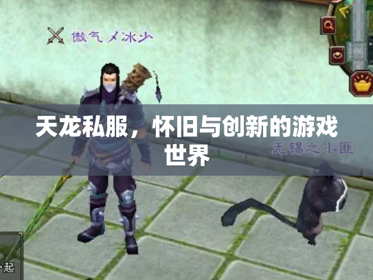 天龙私服，怀旧与创新的游戏世界