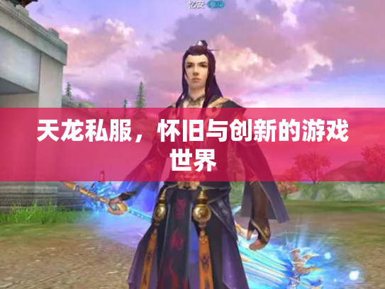 天龙私服，怀旧与创新的游戏世界