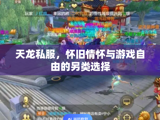 天龙私服，怀旧情怀与游戏自由的另类选择
