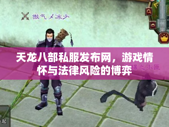天龙八部私服发布网，游戏情怀与法律风险的博弈