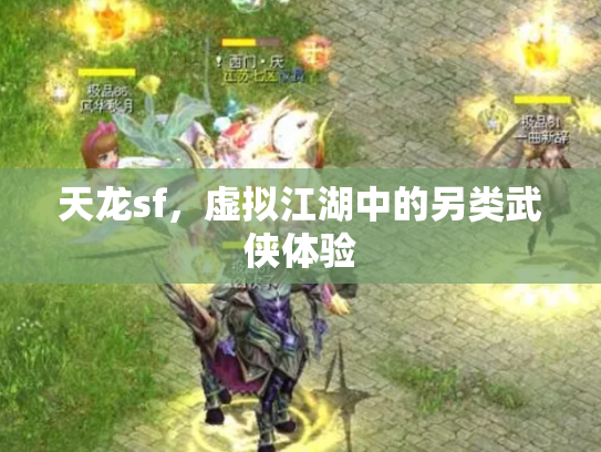天龙sf，虚拟江湖中的另类武侠体验
