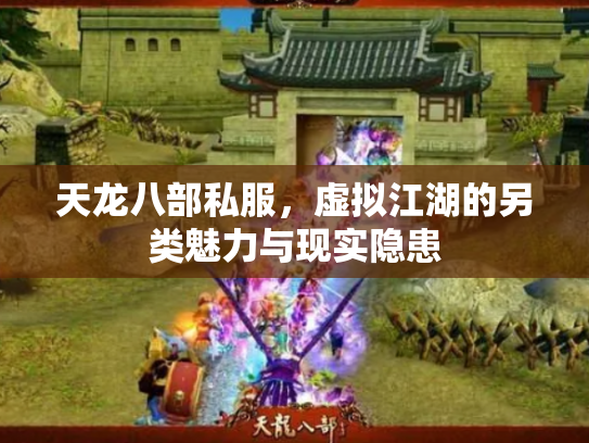 天龙八部私服，虚拟江湖的另类魅力与现实隐患