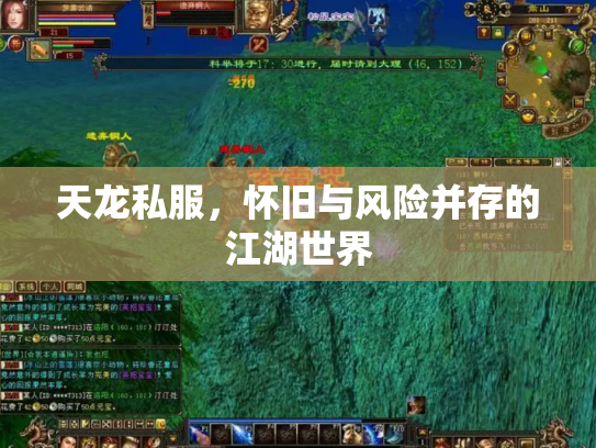 天龙私服，怀旧与风险并存的江湖世界