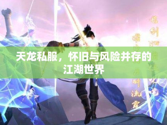天龙私服，怀旧与风险并存的江湖世界