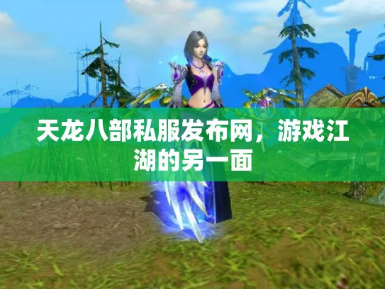 天龙八部私服发布网，游戏江湖的另一面