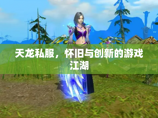 天龙私服，怀旧与创新的游戏江湖