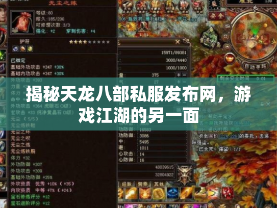 揭秘天龙八部私服发布网，游戏江湖的另一面