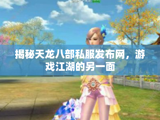 揭秘天龙八部私服发布网，游戏江湖的另一面