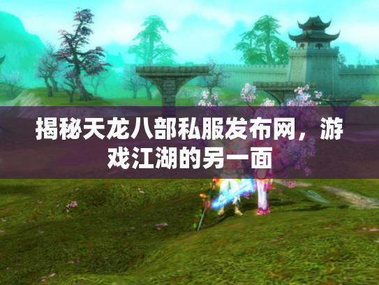 揭秘天龙八部私服发布网，游戏江湖的另一面