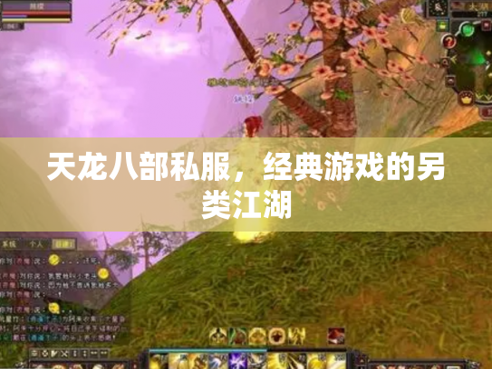 天龙八部私服，经典游戏的另类江湖