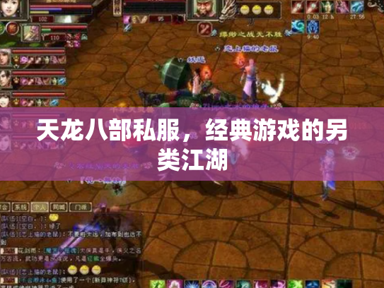 天龙八部私服，经典游戏的另类江湖