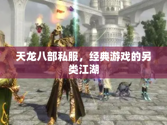 天龙八部私服，经典游戏的另类江湖