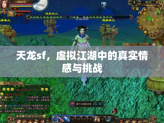 天龙sf，虚拟江湖中的真实情感与挑战