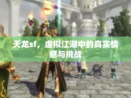 天龙sf，虚拟江湖中的真实情感与挑战