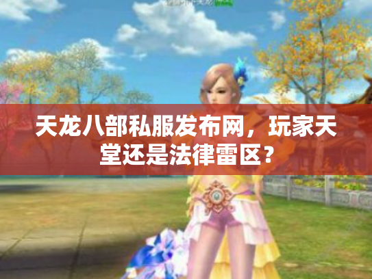 天龙八部私服发布网，玩家天堂还是法律雷区？