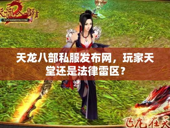 天龙八部私服发布网，玩家天堂还是法律雷区？