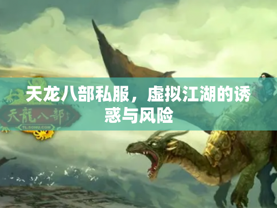 天龙八部私服，虚拟江湖的诱惑与风险