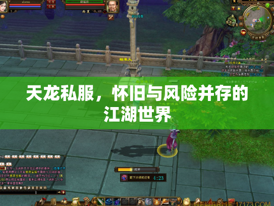 天龙私服，怀旧与风险并存的江湖世界