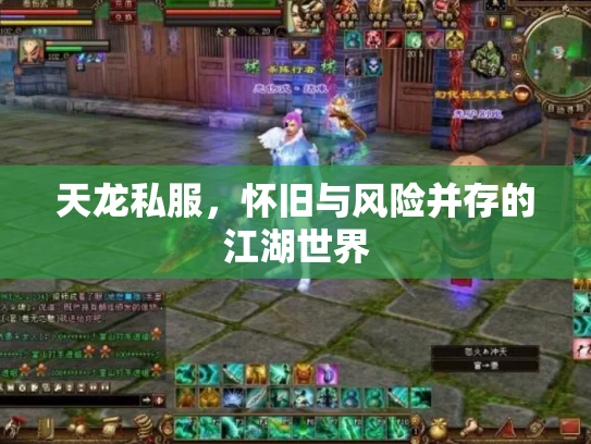 天龙私服，怀旧与风险并存的江湖世界