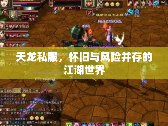 天龙私服，怀旧与风险并存的江湖世界