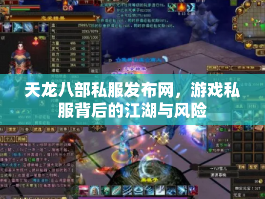 天龙八部私服发布网，游戏私服背后的江湖与风险