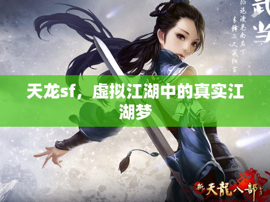 天龙sf，虚拟江湖中的真实江湖梦