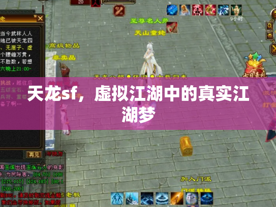 天龙sf，虚拟江湖中的真实江湖梦