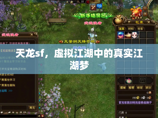天龙sf，虚拟江湖中的真实江湖梦