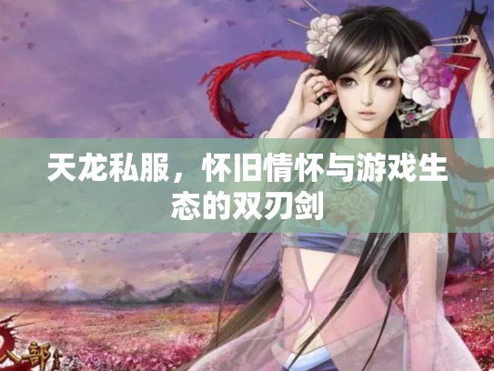 天龙私服，怀旧情怀与游戏生态的双刃剑