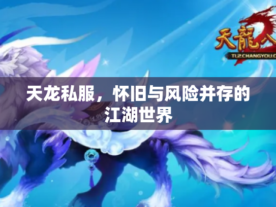 天龙私服，怀旧与风险并存的江湖世界