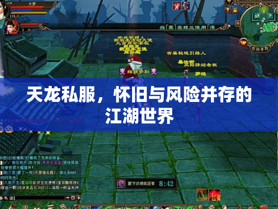 天龙私服，怀旧与风险并存的江湖世界