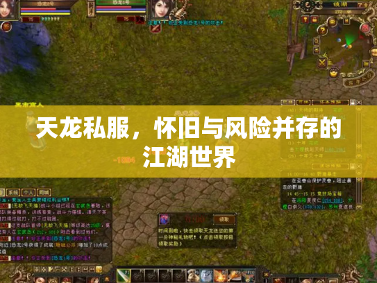 天龙私服，怀旧与风险并存的江湖世界