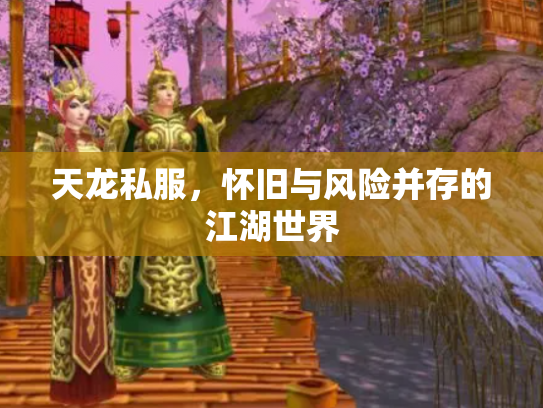 天龙私服，怀旧与风险并存的江湖世界