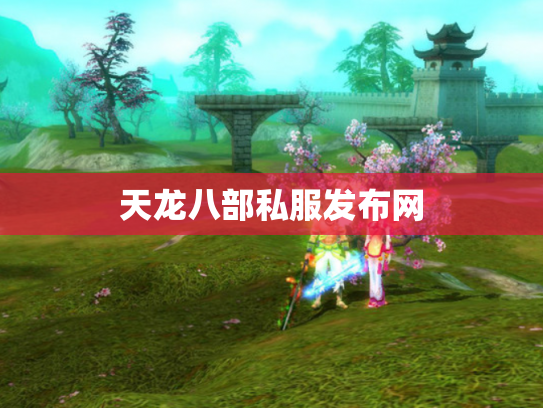 天龙八部私服发布网