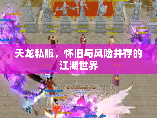 天龙私服，怀旧与风险并存的江湖世界