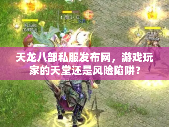 天龙八部私服发布网，游戏玩家的天堂还是风险陷阱？