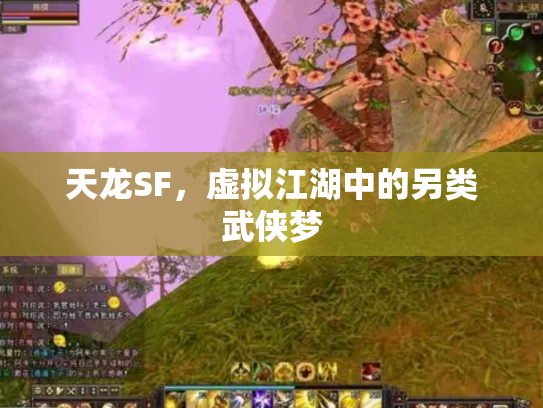 天龙SF，虚拟江湖中的另类武侠梦