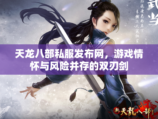 天龙八部私服发布网，游戏情怀与风险并存的双刃剑