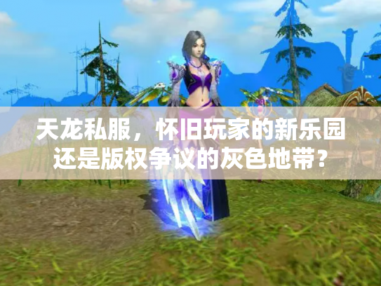 天龙私服，怀旧玩家的新乐园还是版权争议的灰色地带？