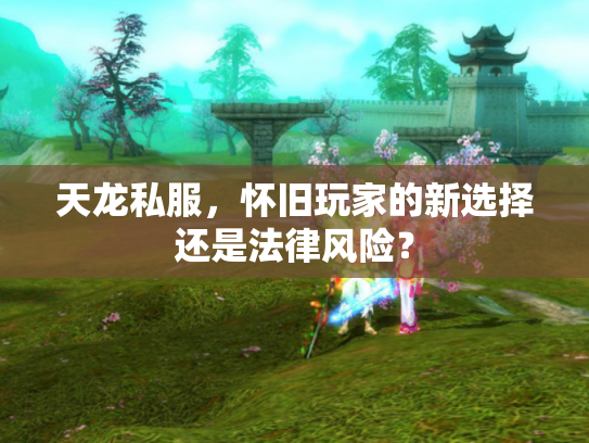 天龙私服，怀旧玩家的新选择还是法律风险？