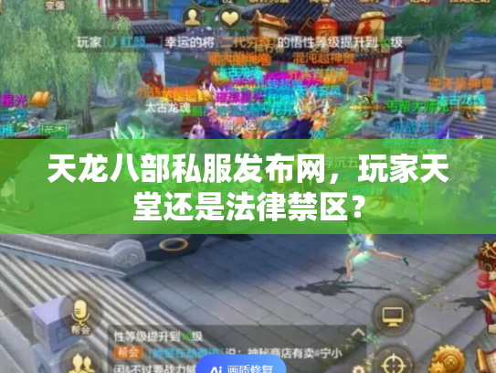 天龙八部私服发布网，玩家天堂还是法律禁区？