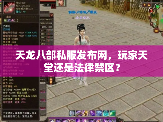 天龙八部私服发布网，玩家天堂还是法律禁区？