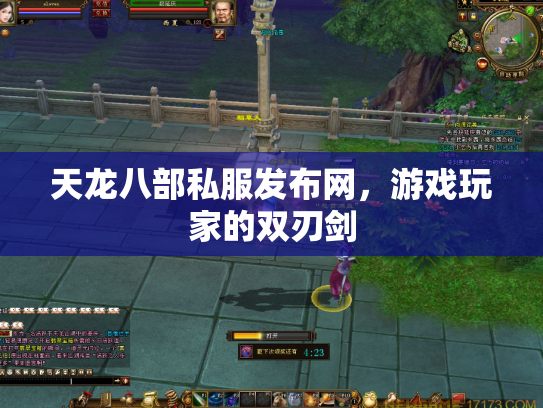 天龙八部私服发布网，游戏玩家的双刃剑