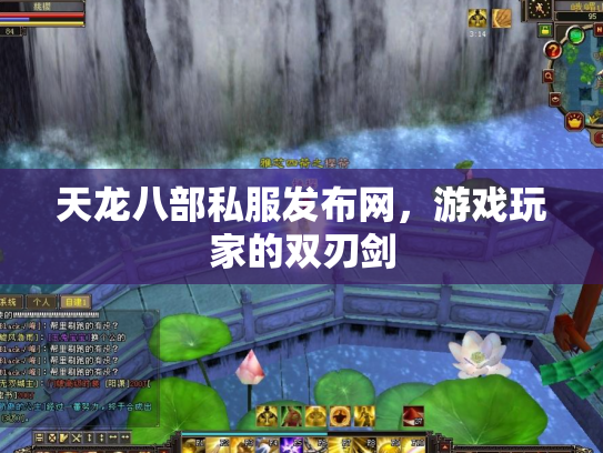 天龙八部私服发布网，游戏玩家的双刃剑